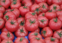 Warzywa i owoce - co staniało, a co zdrożało? - zdjęcie główne