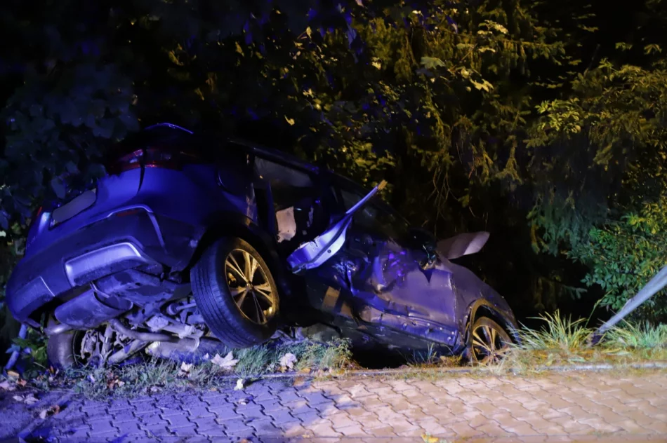 Kobieta z dwójką dzieci w szpitalu po zderzeniu aut - zdjęcie 6