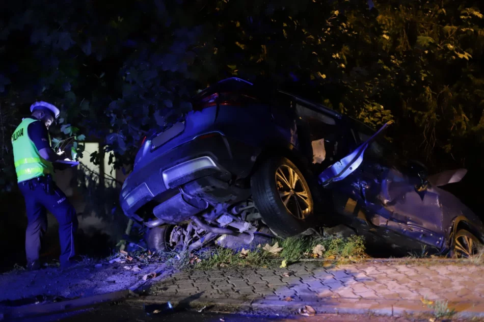 Kobieta z dwójką dzieci w szpitalu po zderzeniu aut - zdjęcie 8