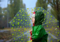 Tygodniowa prognoza pogody - zdjęcie główne