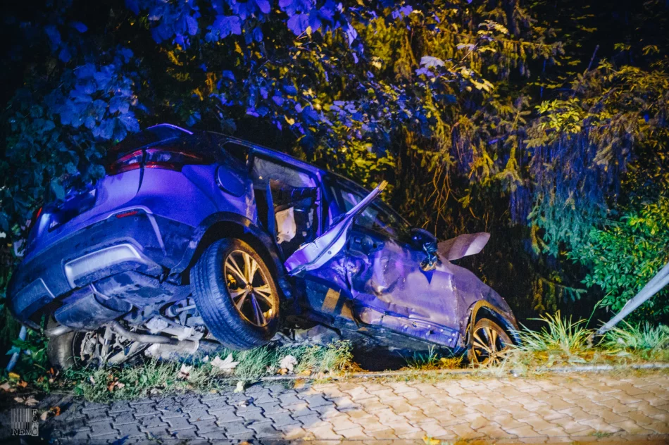 Kobiecie i dzieciom nic się nie stało, mandat dla sprawcy - zdjęcie 3