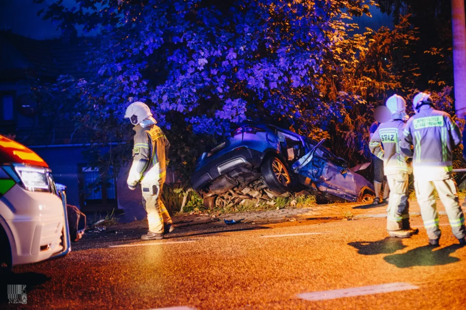 Kobiecie i dzieciom nic się nie stało, mandat dla sprawcy - zdjęcie 6