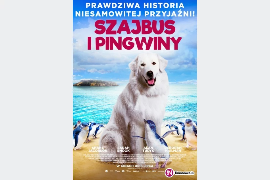 Co nowego w kinie Klaps? - zdjęcie 4