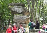 Jaworzyna Krynicka „zdobyta” - zdjęcie główne