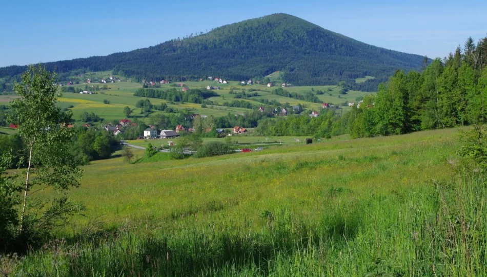 Gość specjalny na finał akcji - zdjęcie 1