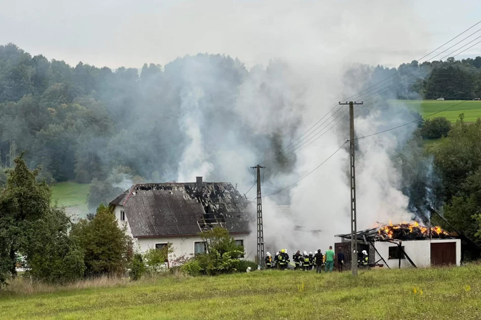 Pożar domu i zabudowań gospodarczych - zdjęcie 2