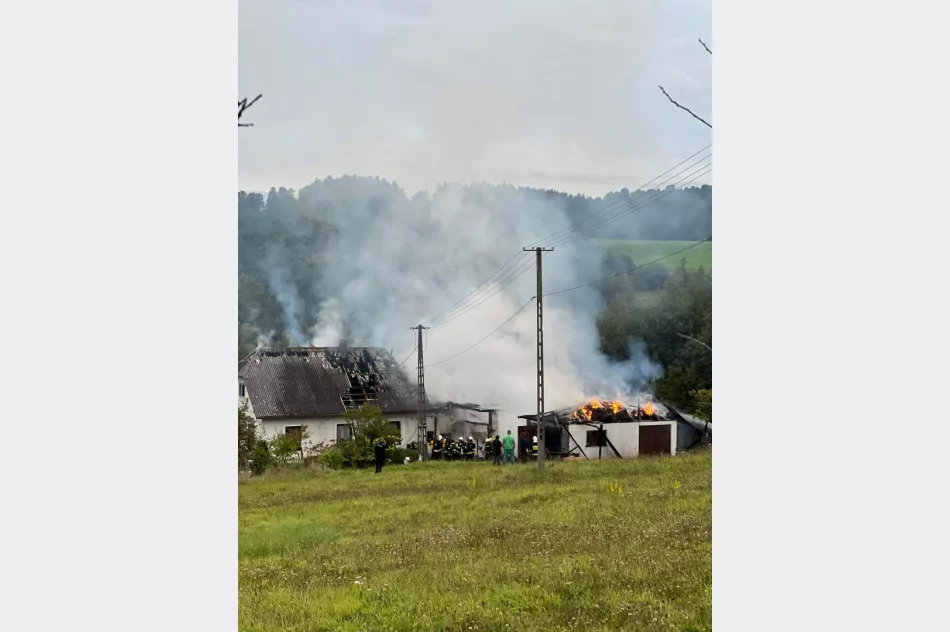 Pożar domu i zabudowań gospodarczych - zdjęcie 7