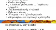 Jesienna oferta muzeum -lekcje muzealne i warsztaty adresowane do dzieci i młodzieży - zdjęcie 2