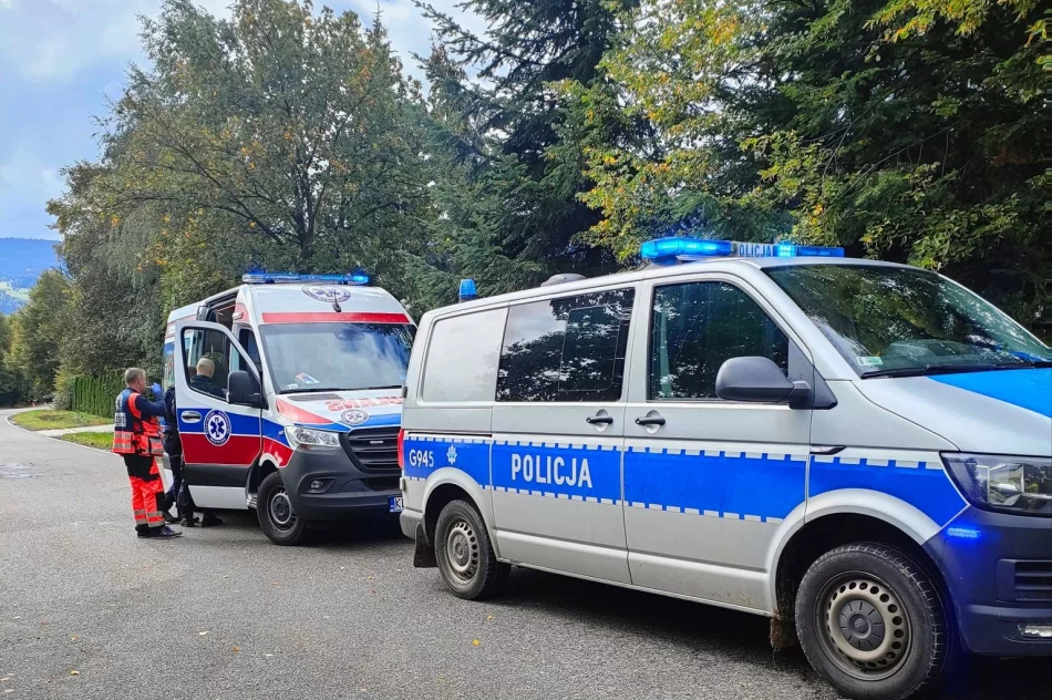 Sprawca kolizji pod wpływem alkoholu - zdjęcie 2