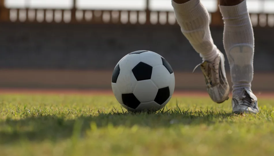 Kolejarz rozjechał Zalesiankę - zdjęcie 1