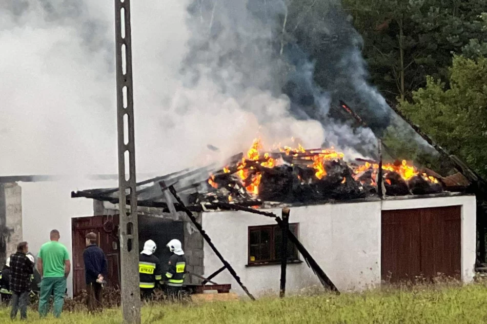 Wujek-podpalacz w areszcie. W domu była kobieta z trójką dzieci - zdjęcie 5