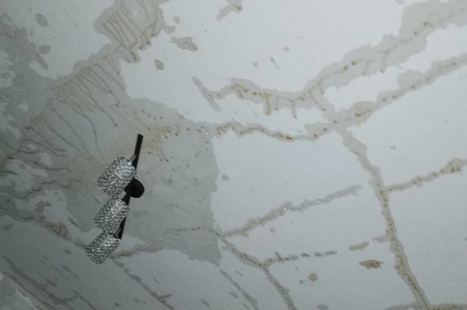 Stracili dach nad głową. Pomoc dla samotnej matki z trójką dzieci - zdjęcie 6