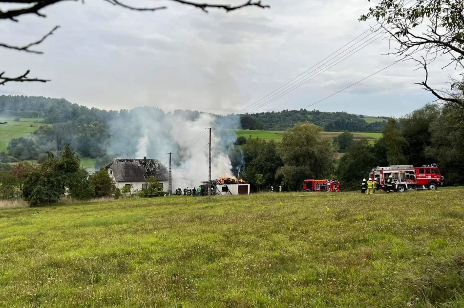 Stracili dach nad głową. Pomoc dla samotnej matki z trójką dzieci - zdjęcie 8