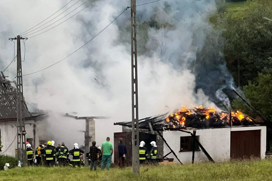 Stracili dach nad głową. Pomoc dla samotnej matki z trójką dzieci - zdjęcie 9