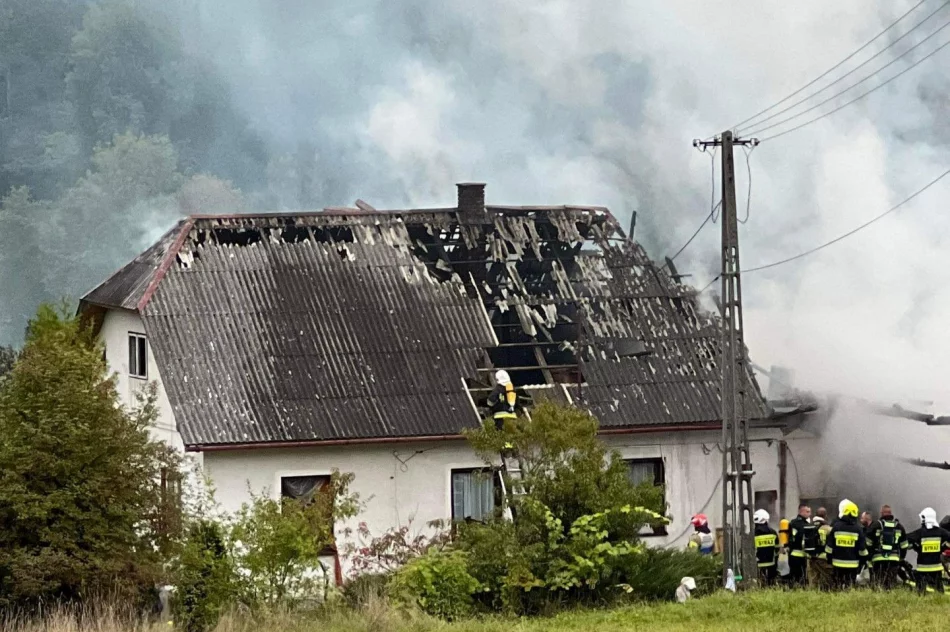 Stracili dach nad głową. Pomoc dla samotnej matki z trójką dzieci - zdjęcie 10