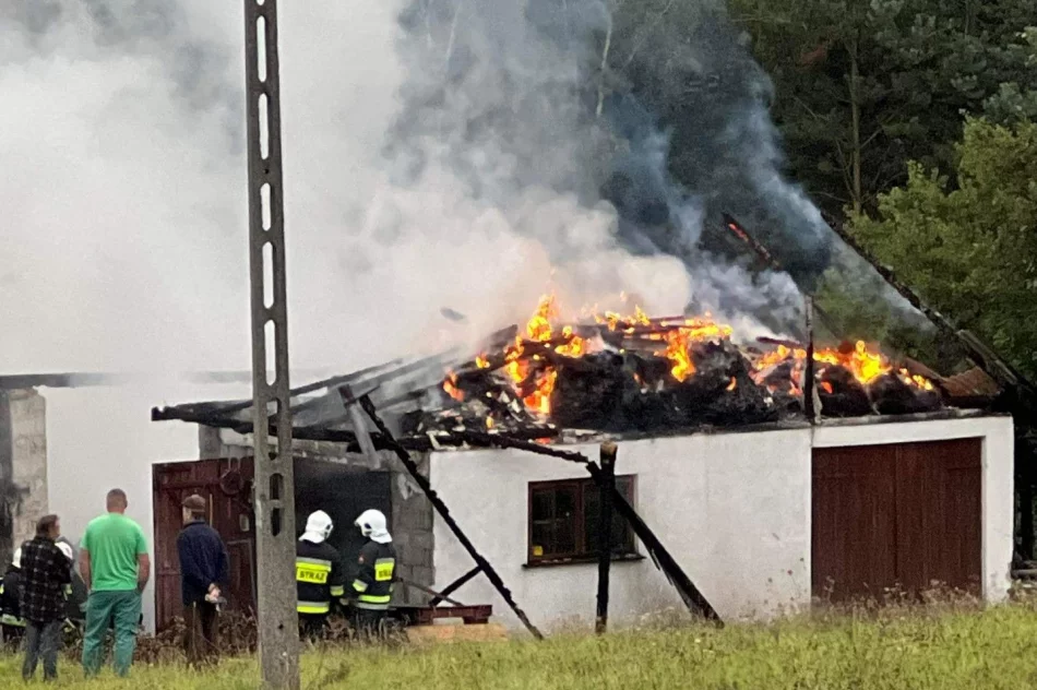 Stracili dach nad głową. Pomoc dla samotnej matki z trójką dzieci - zdjęcie 11