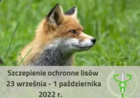 Ruszają szczepienia - ważne informacje - zdjęcie główne
