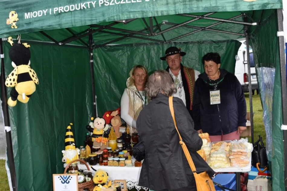 Debiut przez duże "D" - zdjęcie 13