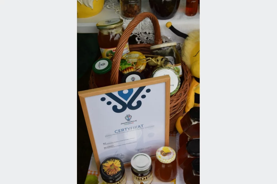 Debiut przez duże "D" - zdjęcie 15