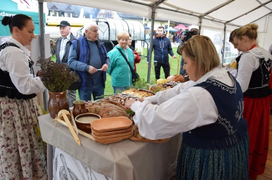 Debiut przez duże "D" - zdjęcie 19