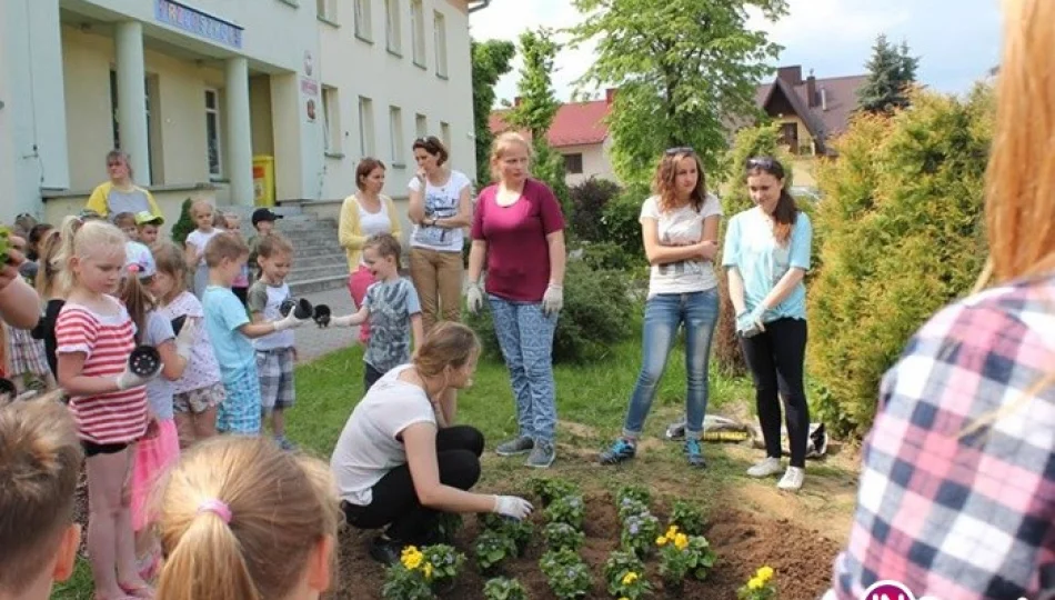 Aksamitki i żeniszki zakwitły w przedszkolu! - zdjęcie 1