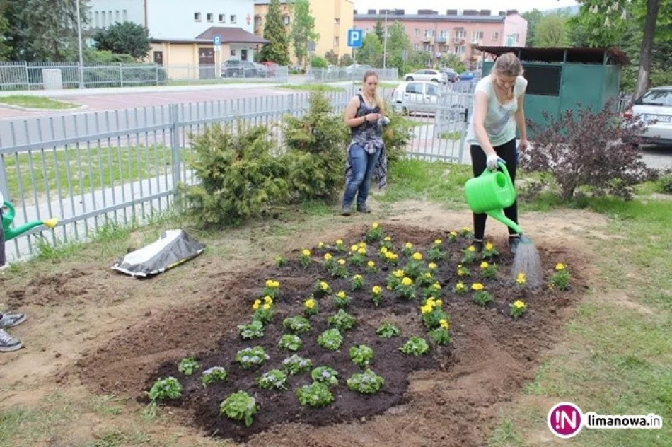 Aksamitki i żeniszki zakwitły w przedszkolu! - zdjęcie 4