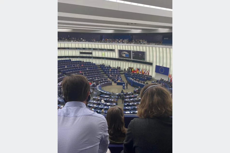 Uczeń Szkoły Podstawowej nr 2 w Limanowej Kacper Antkiewicz w Strasburgu - zdjęcie 5