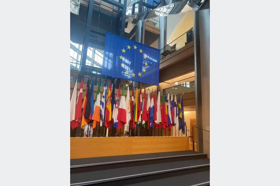 Uczeń Szkoły Podstawowej nr 2 w Limanowej Kacper Antkiewicz w Strasburgu - zdjęcie 14