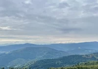 Prace wstrzymane, trzy postępowania w nadzorze - zdjęcie główne