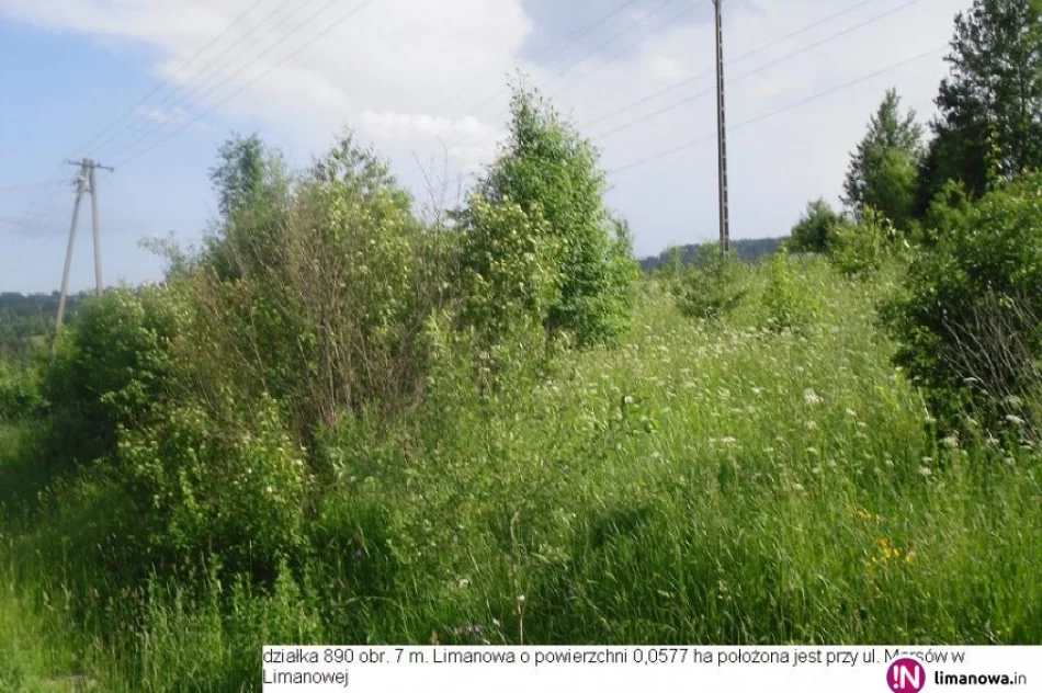 I przetarg na sprzedaż działek 759, 890 obr 7 Osiedle Marsów w Limanowej - zdjęcie 3