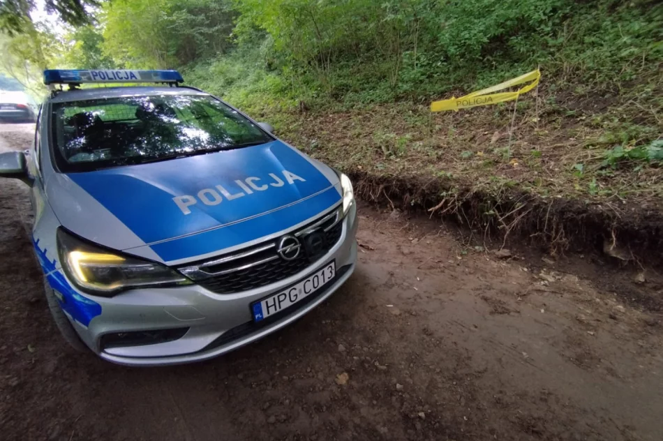 Odnaleziono pozostałości z czasów II wojny światowej - zdjęcie 3