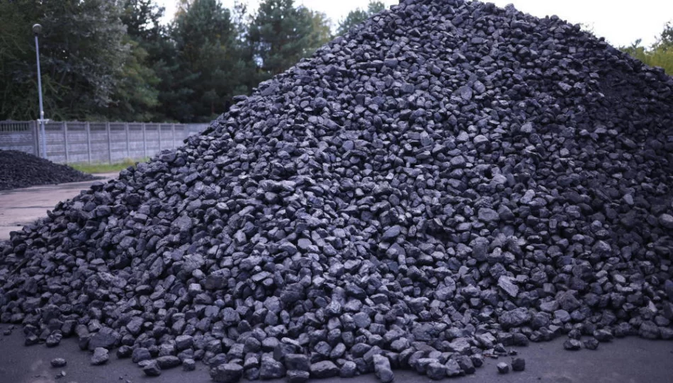 Jest porównywarka cen węgla. Węgiel w trzech składach w… Małopolsce - zdjęcie 1