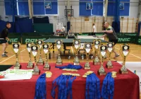 Samorządowa rywalizacja w ping-ponga - zdjęcie główne