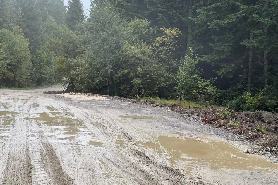 Inspektor bez uprawnień? Sprawa w prokuraturze - zdjęcie 2