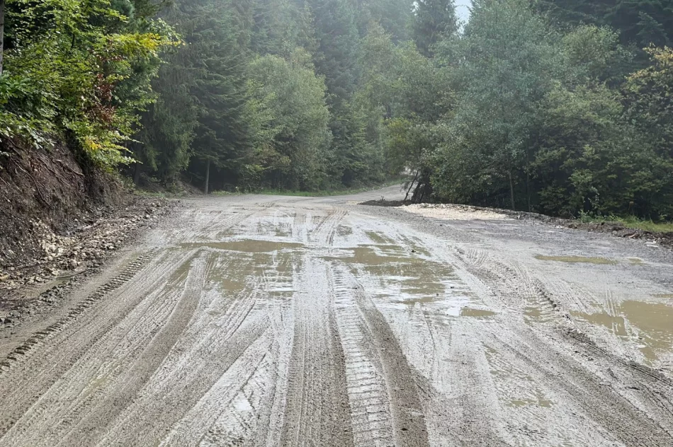 Inspektor bez uprawnień? Sprawa w prokuraturze - zdjęcie 4