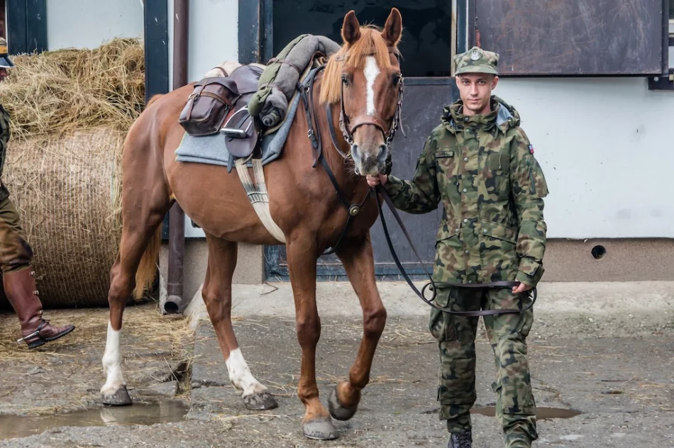 Konne szkolenie Terytorialsów - zdjęcie 5