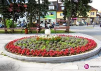 Zapytanie ofertowe - dostawa kwiatów jednorocznych do obsadzenia terenów miejskich - zdjęcie główne