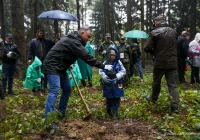 Prezydent zachęcał do sadzenia drzew - zdjęcie główne