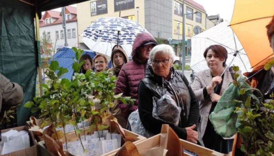 Rozdali 1,9 tys. sadzonek - zdjęcie 1