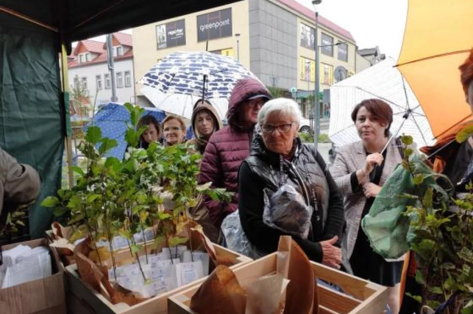 Rozdali 1,9 tys. sadzonek - zdjęcie 3