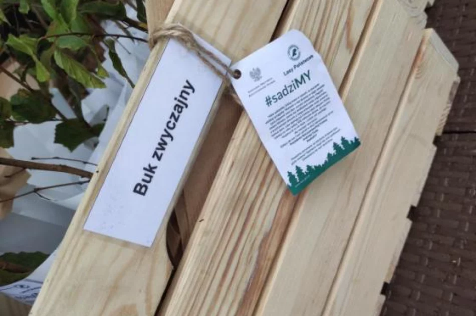 Rozdali 1,9 tys. sadzonek - zdjęcie 7