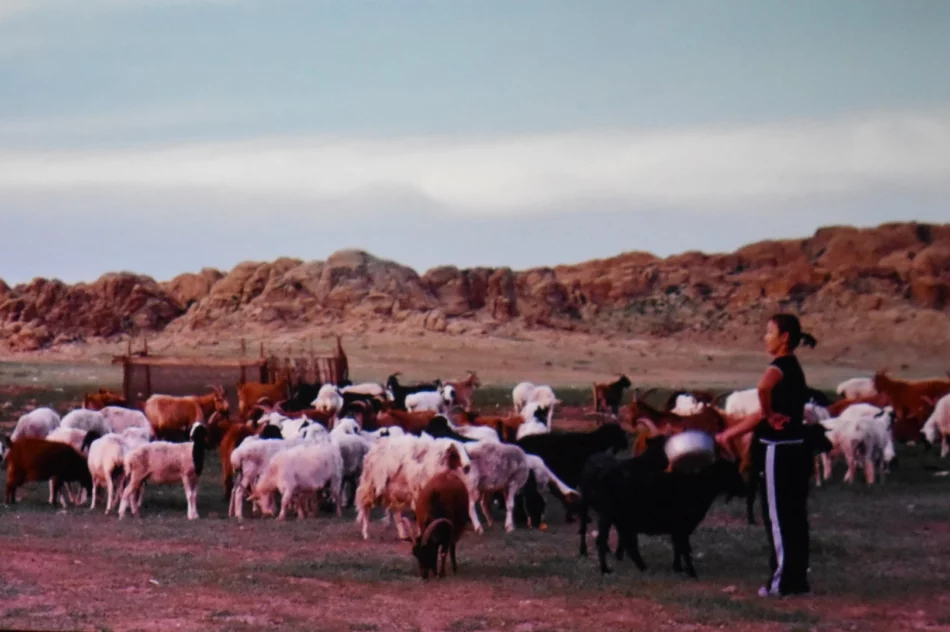 Piękno Syberii i Gobi w Miejskiej Galerii Sztuki - zdjęcie 11