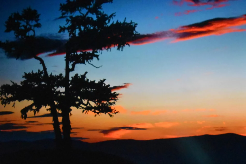 Piękno Syberii i Gobi w Miejskiej Galerii Sztuki - zdjęcie 13