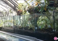 Szkolenie dla architektów krajobrazu - zdjęcie główne