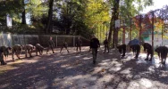 Szkolenie z musztry pod okiem najlepszych specjalistów - zdjęcie 3