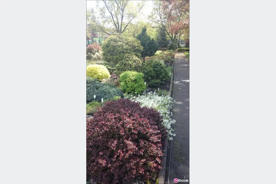 Szkolenie dla architektów krajobrazu - zdjęcie 4