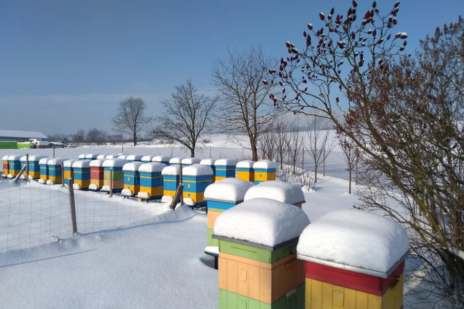 MIÓD i pszczele produkty - zdjęcie 3