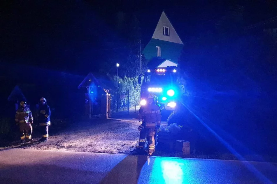 Strażacy wezwani do pożaru na poddaszu - zdjęcie 3