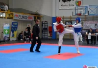 Turniej Karate Kyokushin SARI CUP – 10 medali dla ARS Klub Kyokushinkai – Limanowa - zdjęcie główne
