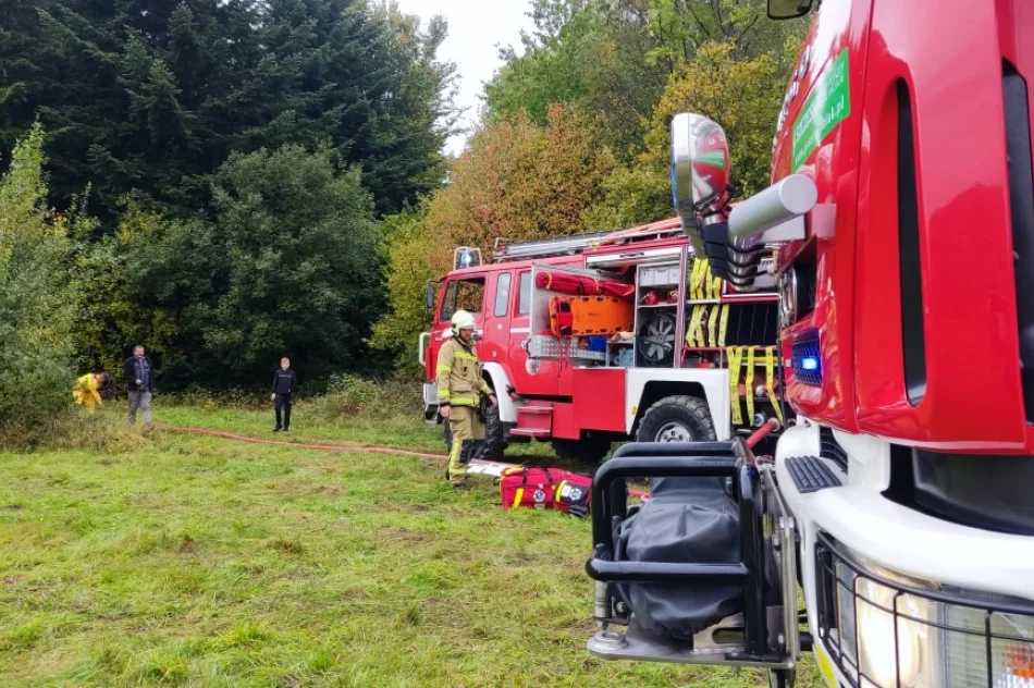 Druhowie doskonalili swoje umiejętności - zdjęcie 9